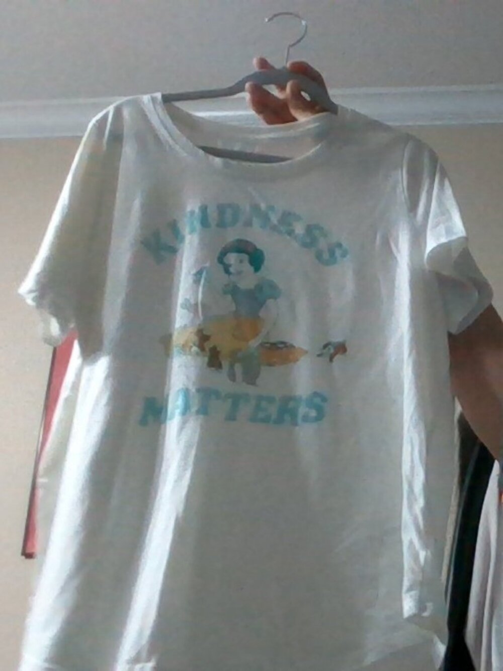 Disney Princess Tshirt 1X